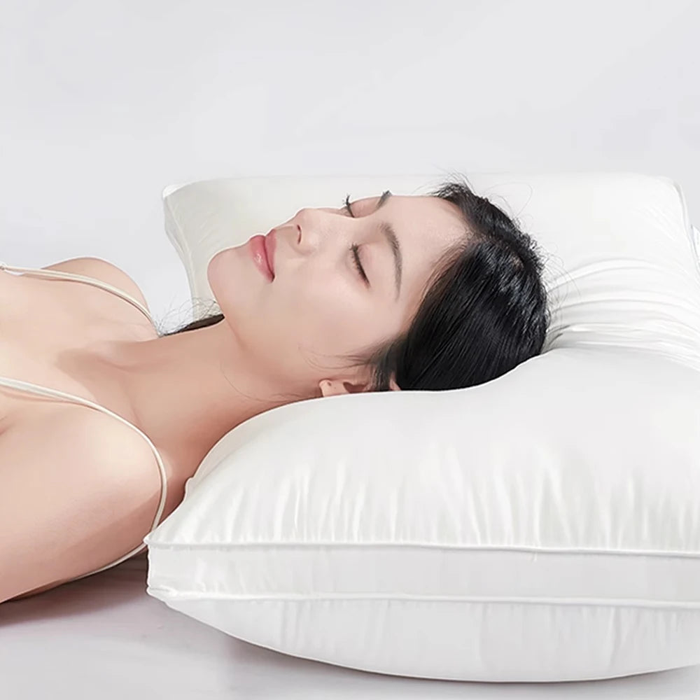 Premium Goose Down Pillow