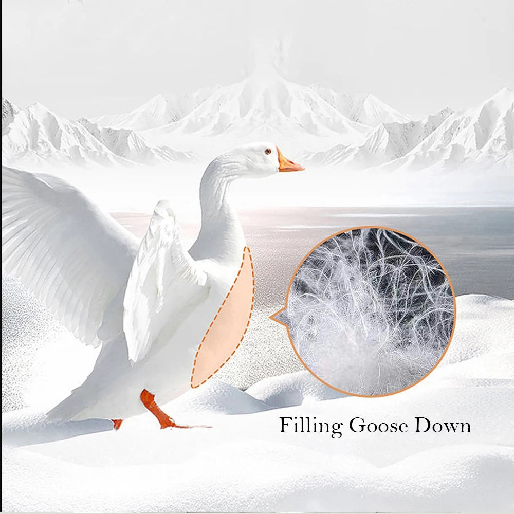 Premium Goose Down Pillow