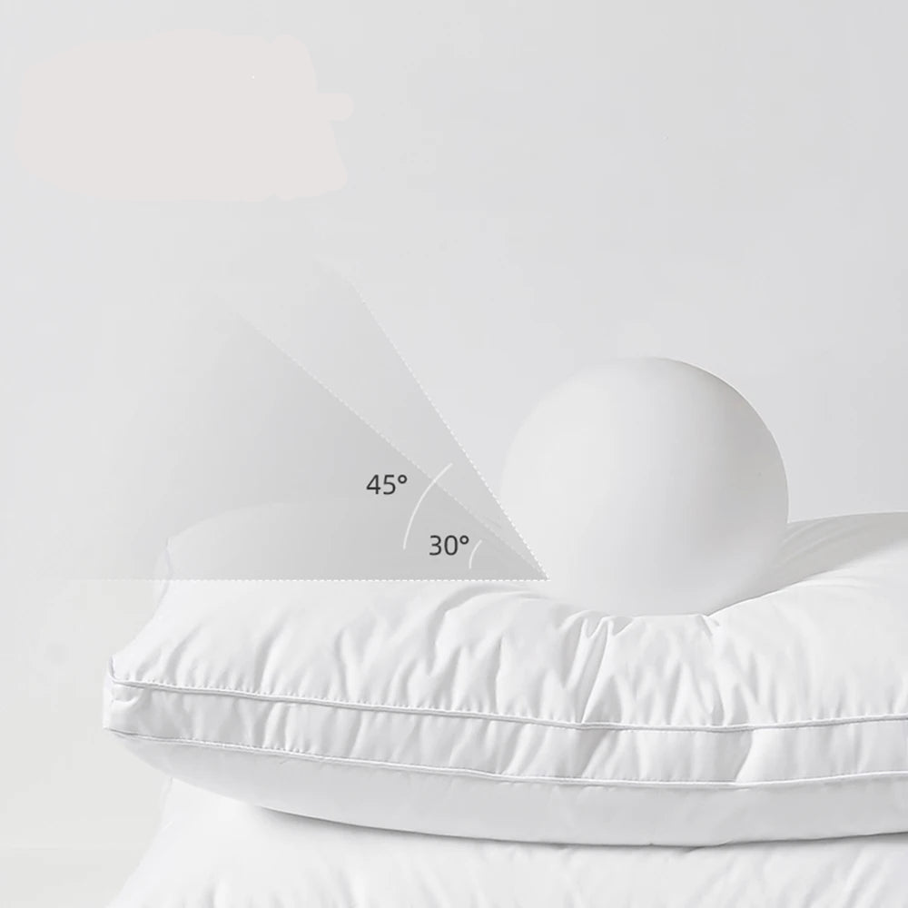 Premium Goose Down Pillow