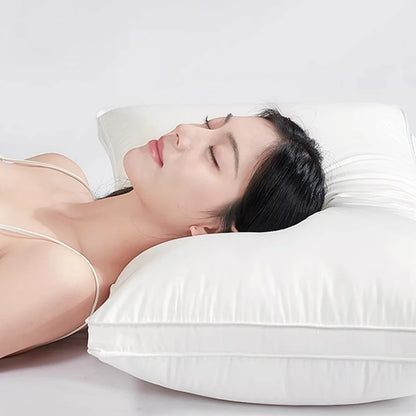Premium Goose Down Pillow